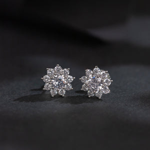 Hiraola's Product Image